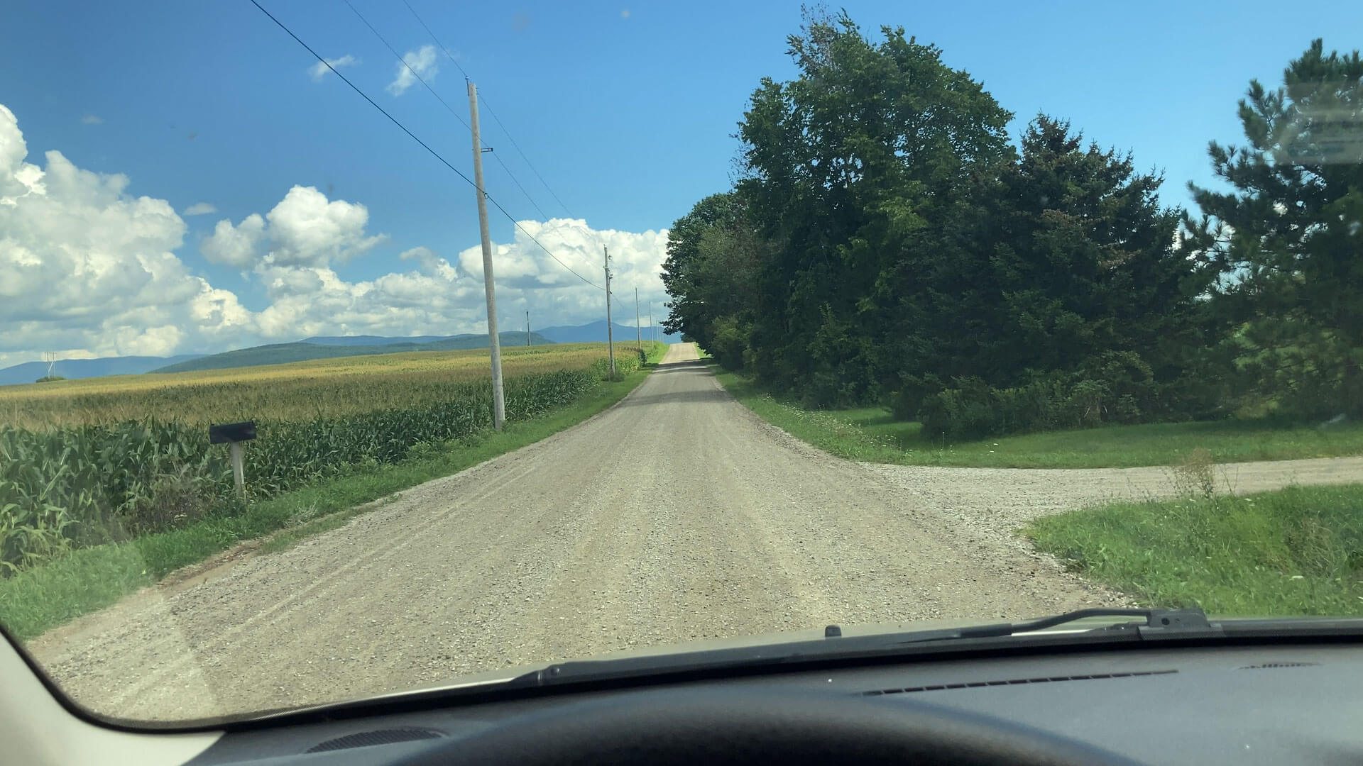 View of a gravel road stretching away from the lens from inside a car with the top of the steering wheel grazing the bottom edge of the frame. There is a cornfield on the left side of the road and trees full of dark green leaves on the right. It's a sunny day with a bright blue sky with some white clouds sweeping to the left of the frame.